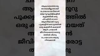 Akashathoru tharakamillaaanasonglyrics vedanrapmalayalamsonglyricstrendingrapsongvedansongs [upl. by Aniz516]