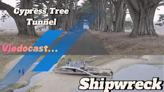 EXPLORING Point Reyes Hidden Gem Cypress Tree Tunnel and Shipwreck [upl. by Ylaek]