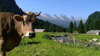 Toggenburg Tourismus  Sommer [upl. by Alor151]