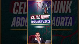 What is Celiac Trunk [upl. by Batha]