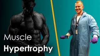 NEW SCIENCE on Muscle Hypertrophy  Dr Cody Haun Podcast Ep 46 [upl. by Adnotal]