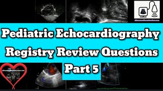 Pediatric Echocardiography Registry Review [upl. by Neliak191]