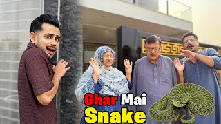 Ami Abu Sab Bohat Dar Gaye 😭  Snake aa Geya Ghar Mai [upl. by Bish]