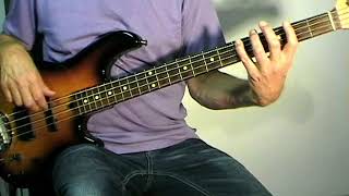 Buffalo Springfield  For What Its Worth  Bass Cover [upl. by Alasdair]