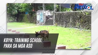 KBYN Training school para sa mga aso  TV Patrol [upl. by Ezarras]