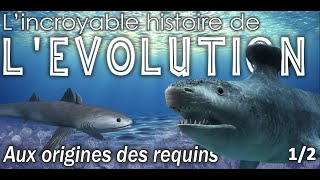 Aux origines des requins  12  Paléontologie  Simplex Paléo [upl. by Tjaden]