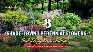 Top 8 ShadeLoving Perennial Flowers that Defy Expectations 🌺🌷🌸  Gardening Ideas [upl. by Attenaj]