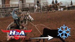 🥶TEAM ROPING JACKPOT GOT COLD 2024 [upl. by Amlas]