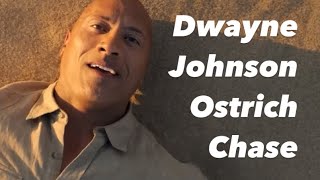 Ostrich Chase Chaos Hilarious Action in Jumanji Welcome to the Jungle with Dwayne Johnson [upl. by Wailoo]