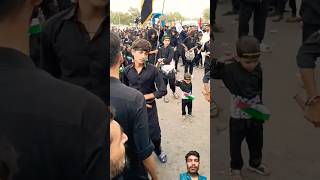 Karbala status islamicstatus hussain karbala yaali duet husain love muharram shorts [upl. by Lovash270]