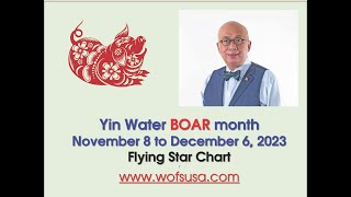 Flying Star Feng Shui in November 2023 [upl. by Kirsti]