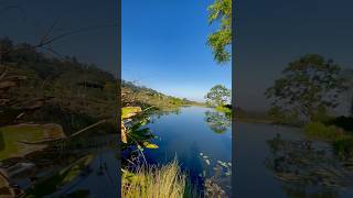 Have You Visited The Maleny Hinterland 😍 [upl. by Bega120]