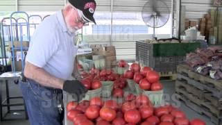 Chattanooga Fruit and Vegetable Produce Stand  Earl Roden Produce [upl. by Ettegroeg]