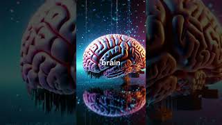 The Boltzmann brain theory theory [upl. by Raynah]