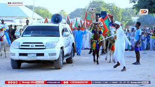 iskusoo Bixii Ugu Weynaa Ee Muqdisho Ka Dhacay Oo Lagu Xusayo Shiikh Cabdulqaadir Jiilaani [upl. by Fredek]