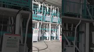 50td wheat and corn flour mill Maize milling machines Corn Wheat Maize Cereal Flour Mill [upl. by Rogovy]