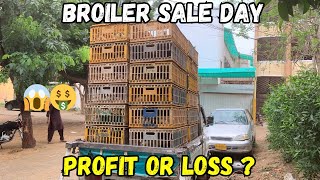 Broiler flock sale hogaya ❤️🐣  profit or loss  small scale broiler farming 🤑🐥❤️ [upl. by Llenoj]