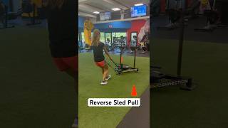 Reverse Sled Pull [upl. by Helen]