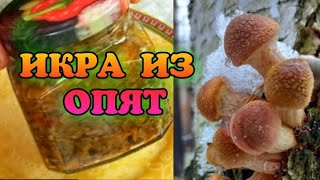 Грибная икра из опят 🍄 🍄 🍄 [upl. by Gaelan72]