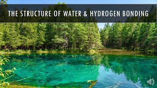 AP Biology  Topic 11  The Structure of Water amp Hydrogen Bonding Video [upl. by Raimondo]