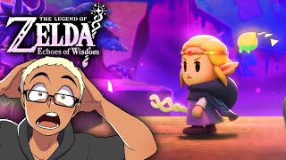 The Legend of Zelda Echoes of Wisdom — Into the Still World a Journey Continued  REACTION [upl. by Elvia]