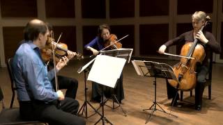 Penderecki String Quartet  Cuarteto de cuerdas en F menor Op 80 Allegro vivace assai [upl. by Uoliram]