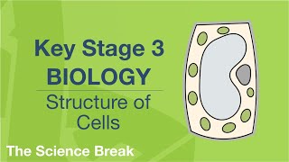 Key Stage 3 Science Biology  Structure of Cells [upl. by Lunnete]