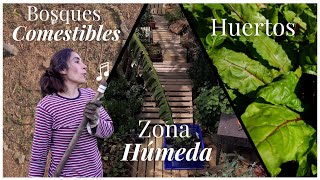 Plantas Silvestres → Microclimas →Huertos → Bosque de Alimentos [upl. by Xad284]