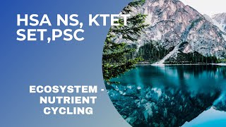 Ecosystem  Nutrient Cycling [upl. by Toolis]