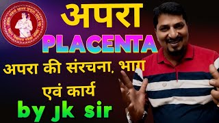 मानव जनन क्लास 12  human reproduction class 12  prasav class 12 parturition  pregnancy test [upl. by Ateerys]