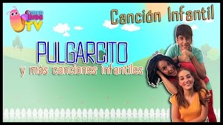 ♫♪ PULGARCITO ♫♪ canción completa con baile [upl. by Acsirp941]