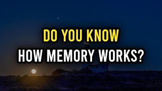 How Your Memory Works [upl. by Kcirrag893]