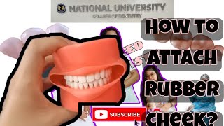 How to Attach Oral Cavity Cover on the Typodont  Rubber cheeks  Dentistry [upl. by Latimore]