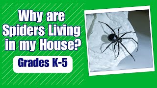 Why Are Spiders Living in My House [upl. by Domineca]