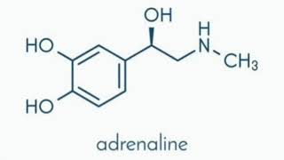 Monoamine hypothesis of depression [upl. by Vic388]