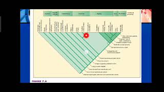 Understanding Phylogenetic Trees and Tree Diagrams Explained in Urdu [upl. by Gussie]