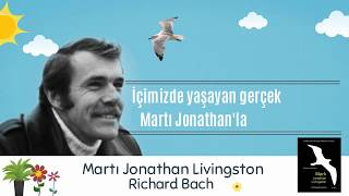 Martı Jonathan Kitabı Analizi [upl. by Ricardo]