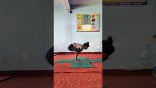 quotMaster the Transition From Headstand to Padma Bakasana in Yogaquot motivation yogaposes headstand [upl. by Aitnuahs89]