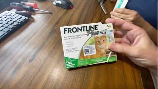 Best Natural Cat Flea Treatments [upl. by Ynottirb]