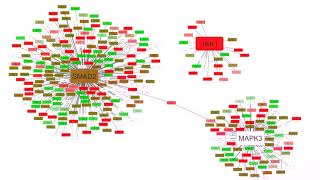 SMAD2 ERK1 and JAK1 protein expression changes during cancer [upl. by Eselahs]