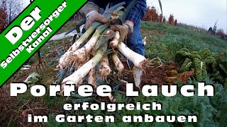 Porree Lauch erfolgreich im Garten anbauen [upl. by Ratep]