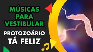 PROTOZOÁRIO TÁ FELIZ  MÚSICA PARA VESTIBULAR [upl. by Gertie]