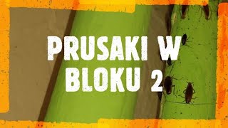 prusaki w bloku  jak zlikwidować prusaki w mieszkaniu  jaki środek na prusaki  dezynsekcja [upl. by Greta]