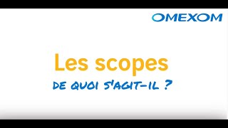 4 minutes pour comprendre les scopes 1 2 et 3 Version française [upl. by Annaynek48]