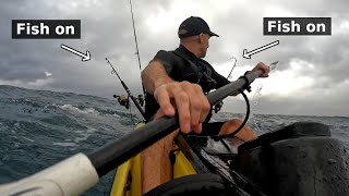 Every Species  Offshore Kayak Fishing For Mackerel  Kingscliff Australia [upl. by Gurevich]