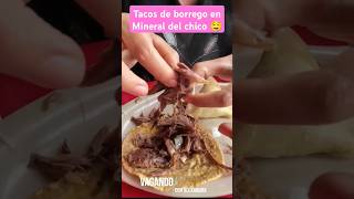 Tacos de borrego en mineraldelchico tacosdeborregotacos mercadohidalgohidalgomexico [upl. by Artnoed496]