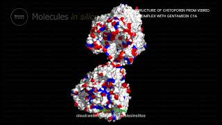 Molecules in silico ･ CRYSTAL STRUCTURE OF CHITOPORIN FROM VIBRIO HARVEYI IN COMPLEX WITH GENTAMIC [upl. by French815]