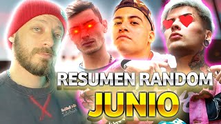 DTOKE REACCIONA A EL HUMOR DEL FREESTYLE  Resumen Random Junio [upl. by Anitak]