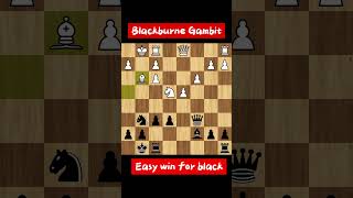 Blackburne Gambit easy win for black chess [upl. by Pitts299]