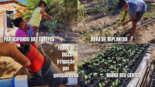 Atualização da horta irrigação por gravidade desenvolvimento das mudas de hortaliças [upl. by Melcher]